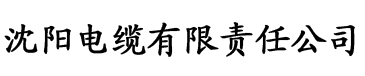 草莓色版APP在线观看电缆厂logo